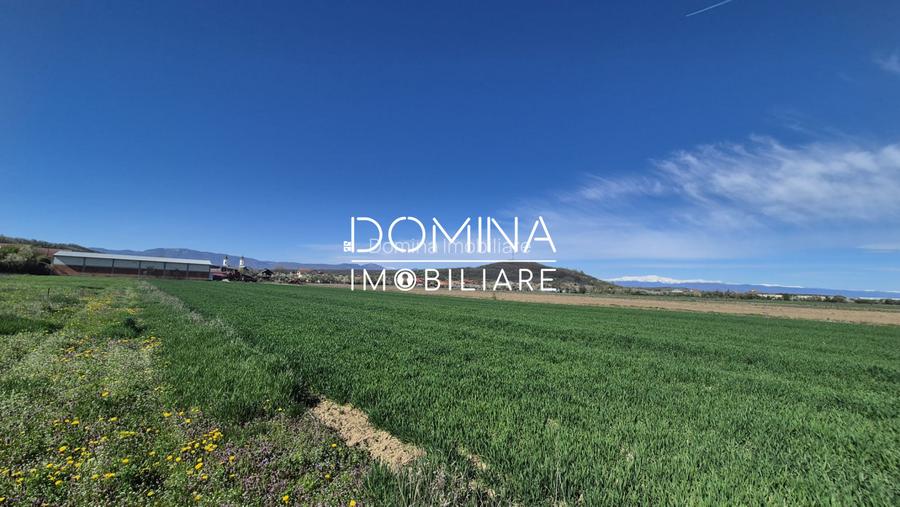 Vânzare loturi teren intravilan 520 mp - Sat Ceauru - la 10 km de Târgu Jiu - 3