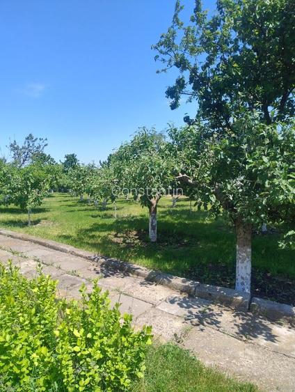 Casă de vânzare în Cucorăni - 5