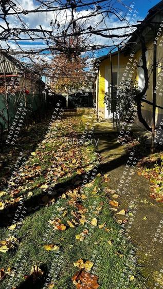 Casă de vânzare – comuna Zănești, județul Neamț - 3