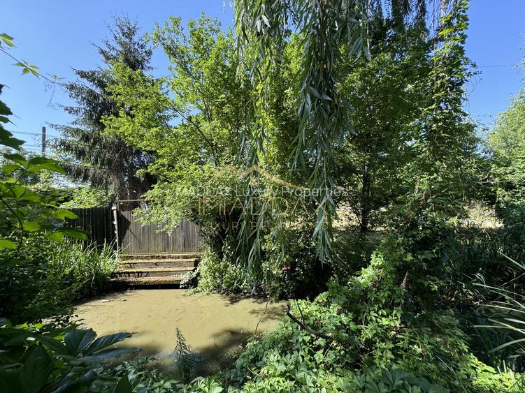 Vila cu 13 camere *4000mp teren* / Piscina / Snagov - 56