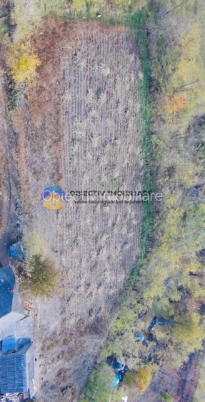 Teren de vânzare 11.766 mp – Costișa, județul Neamț - 5