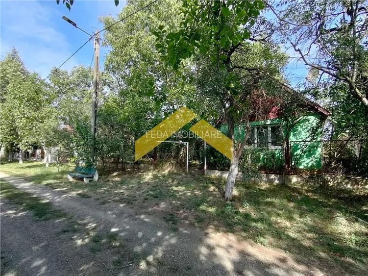 Casa de vanzare in Bodrogu Vechi - 9