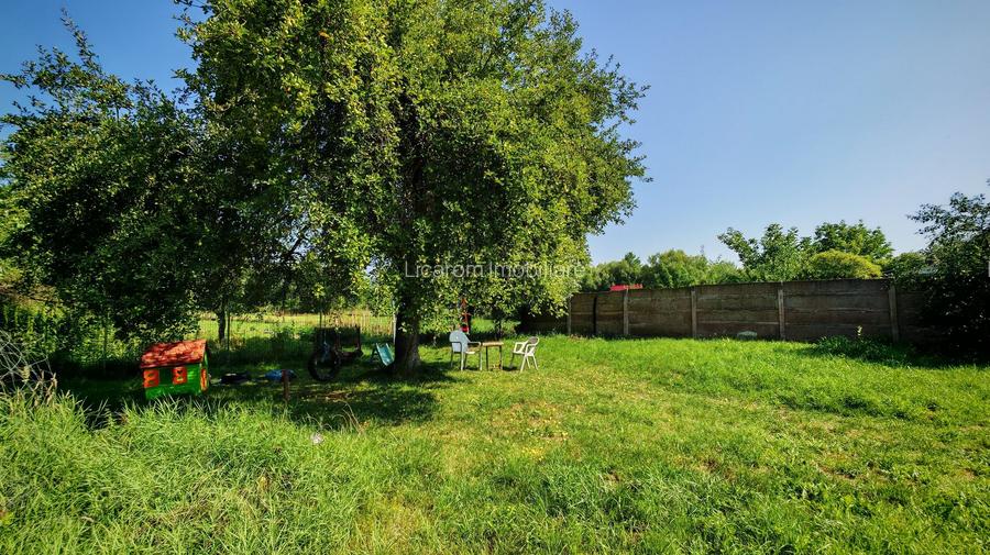 CASA SASEASCA comuna VULCAN,zona foarte buna,teren 3000 mp - 22