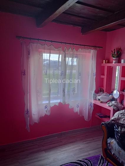 Teren+casa intravilan Ciuperceni - 2