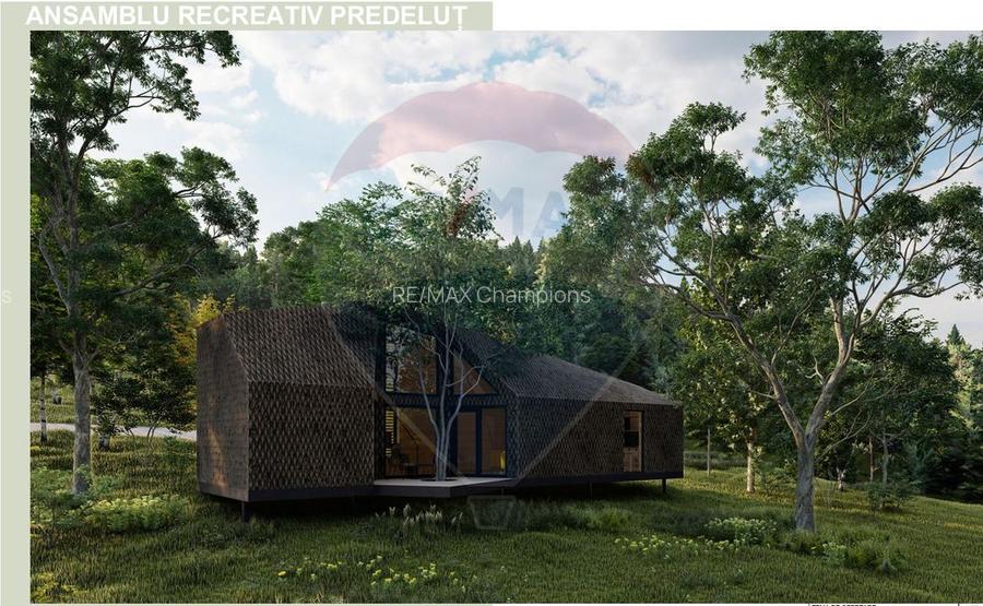 10.51 Euro + TVA / mp: Teren Bran Predelut, 24.253 mp, intravilan - 11