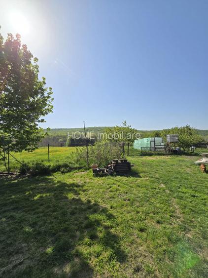 Casa spatioasa Traian - 18