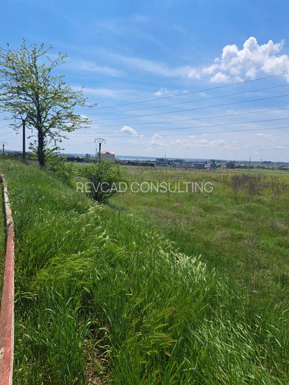 Teren 2500 mp la intrare in Eforie Nord - 3
