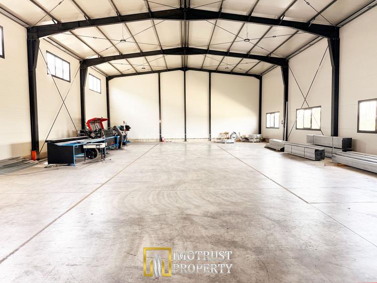 Hala industrială închirere – Vladimirescu, jud. Arad 500 mp - 5