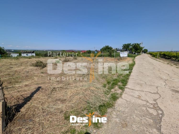 Bârnova - Teren Intravilan 974 Mp, utilitati, drum betonat - 7