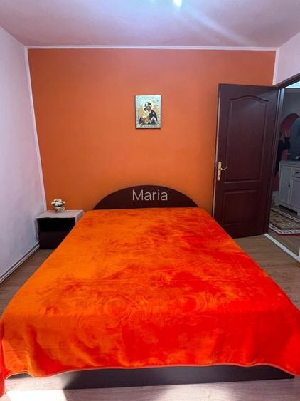 Vand apartament 2 camere in Busteni cu vedere panoramica - 4