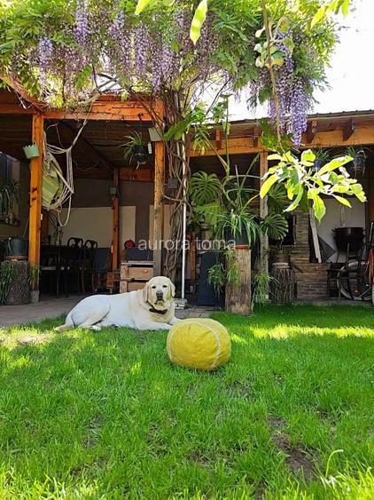 Vila de vânzare Chitila - lângă parc - Proprietar 0% comision - 14