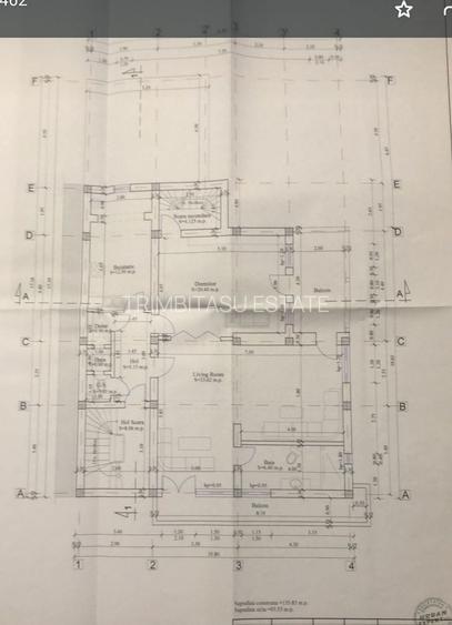 Cotroceni Arenele BNR Mihail Mirinescu Vila pentru birou sau rezidenta - 5