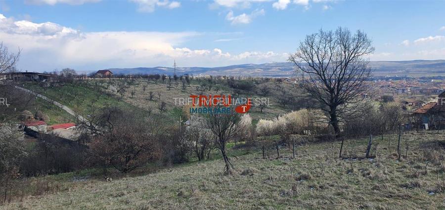 Teren 1654 mp zona Cetate Schit - 4