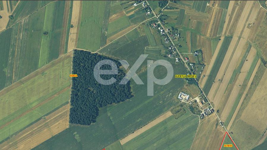 20 Ha Padure stejar la 10 km de Pitești