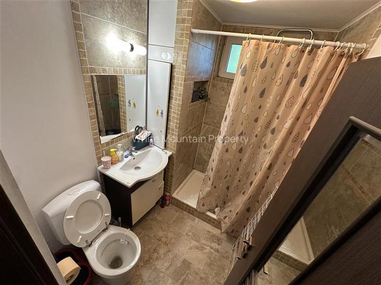 Apartament 2 camere de închiriat, Costin Georgian - 7