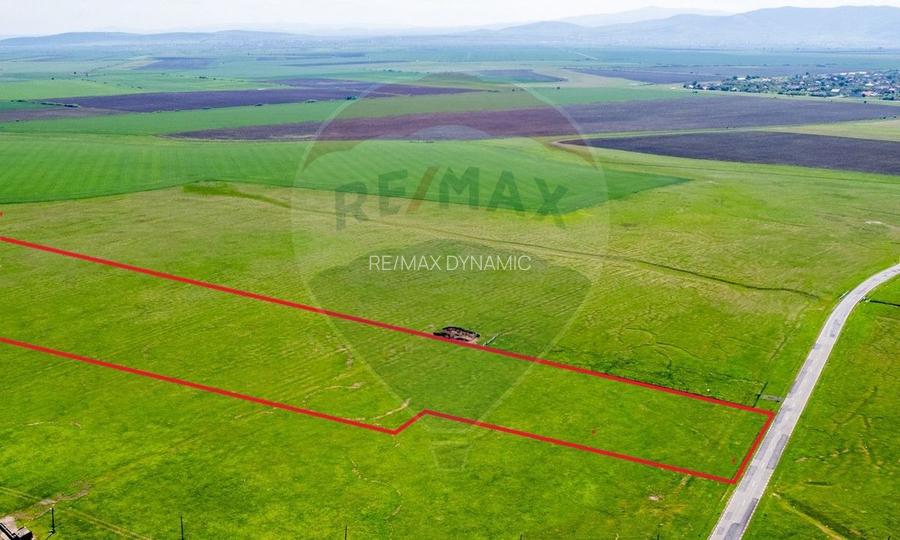 5 hectare teren agricol- pășune, cu front la șosea, zona Sântana - 2