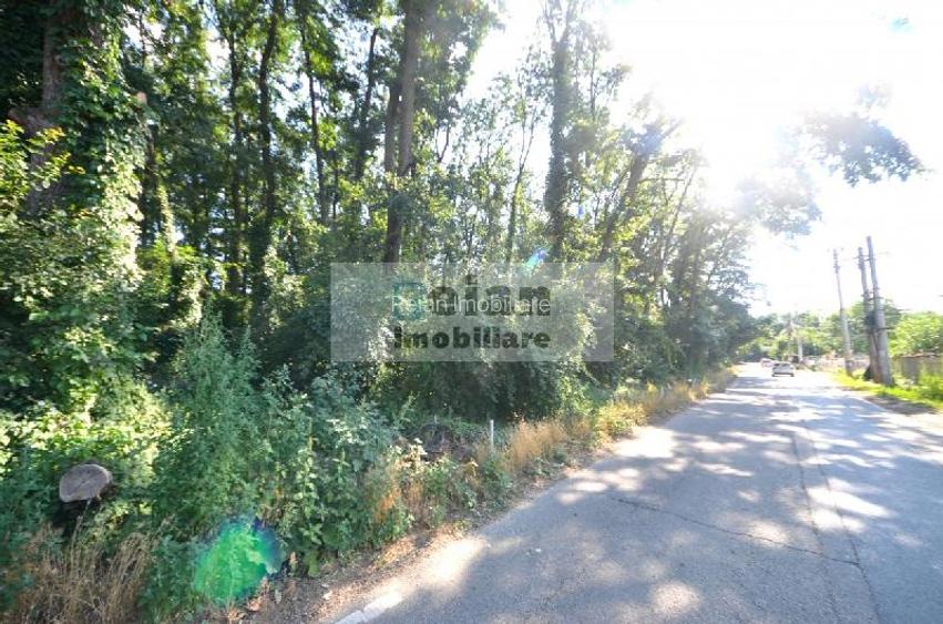 Corbeanca - Padure Petresti, 6000 Mp, Teren Unic, 52 Deschidere, Utili - 6