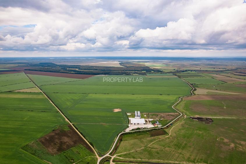 Teren 13500000 mp în Socodor - 14