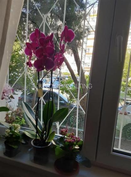 Vanzare Apartament 4 Camere Semidecomandat Oltenitei-Mariuca - 2