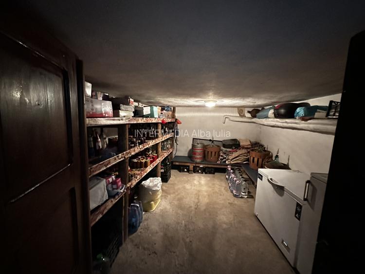 Casa P+M Zona Hotel CETATE 715 mp Teren Garaj Terase Piscina ideal Regim Hotelie - 16