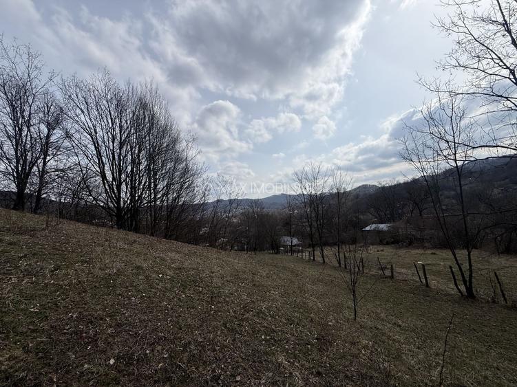 Teren 6040 mp la baza pădurii deschidere 40 ml - 9