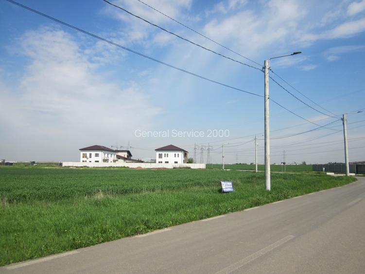 Domnesti-Narciselor - 17