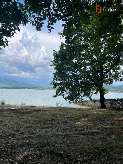 Comision 0% Teren de vanzare 6000 mp cu iesire la Lac Surduc - 5