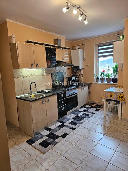 Apartament 3 cam 56mp+curte si gradina 503mp + parcare acoperita dubla - 2