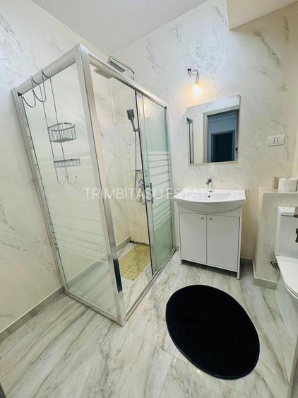 Metrou Berceni -Biruintei 2 camere 64mp plus curte 100mp - 10