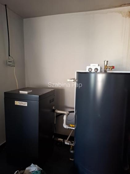 Se vinde casă + teren generos în comuna Acîș (aprox. 38 km de Satu Mare) - 4