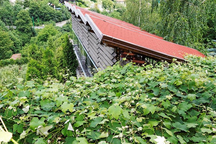  Pensiune Activă & Vilă  Versatilă pe Drumul Poienii – Vedere P - 5