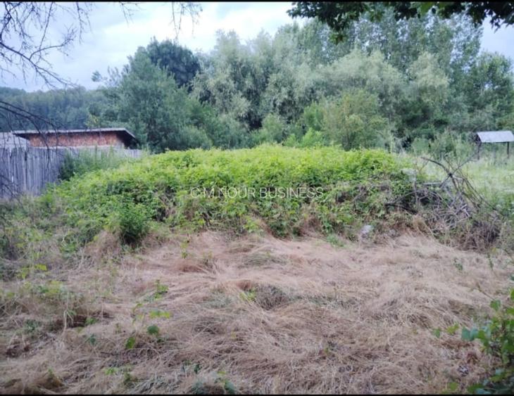 Teren intravilan 1570 mp in sat Magura (Hulubesti), Dambovita, deschidere 31ml - 10