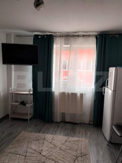 Garsinieră 22pm, Bucium - 2