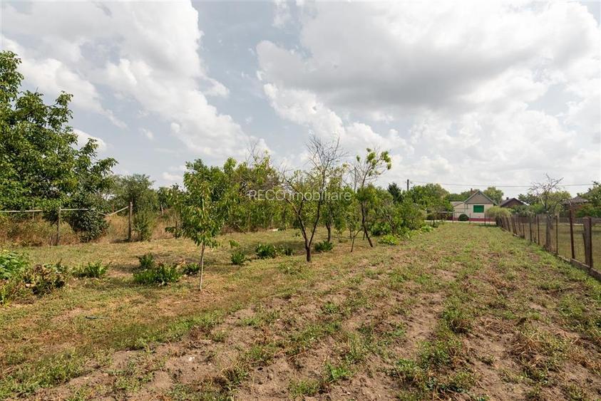 Teren mare cu 2 case si front la 2 strazi in Tamaseu - 30