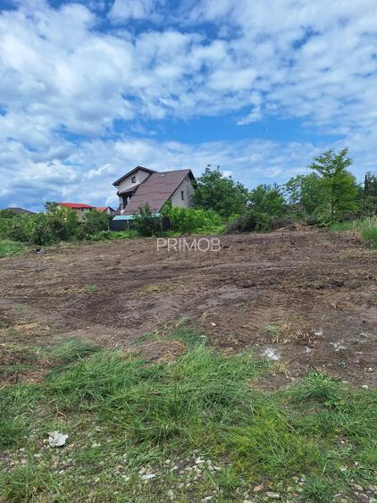 Curtea Domneasca-Domnesti-Tudor Vladimirescu-intravilan,urbanism P+2,asfalt - 2