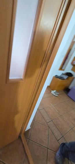 Service auto si vila de locuit Unirea Odobesti