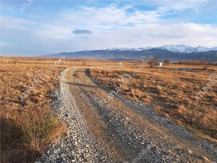 Teren extravilan 8400 mp de vanzare pe Valea Avrigului - 4