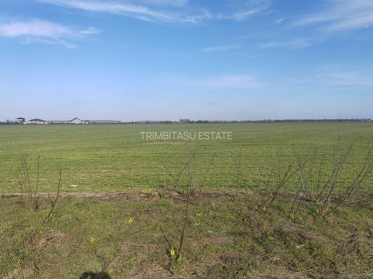 Cernica Tanganu super pret rezidential sau depozitare - 5