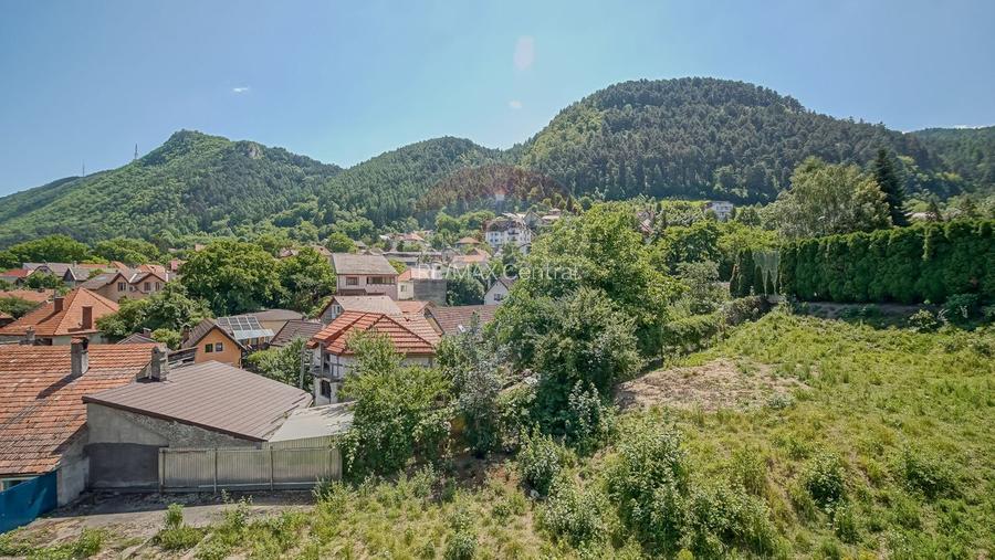 Casă falnică, curte individuală, langă Piața Unirii, în inima Scheilor - 21