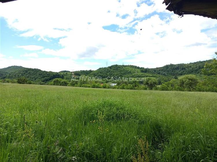 Borlovenii Noi, Teren Drept, 16000mp, la Limita Localitatii - 13