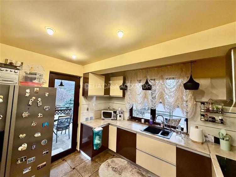 Casa vile de vânzare Buciuim-iasi - 17