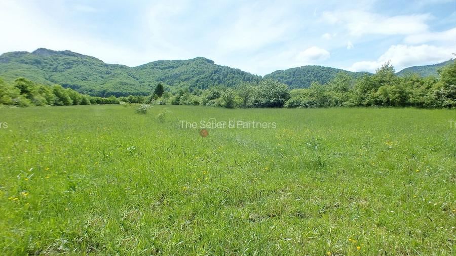 Teren Intravilan - Pretabil Investitie - 3