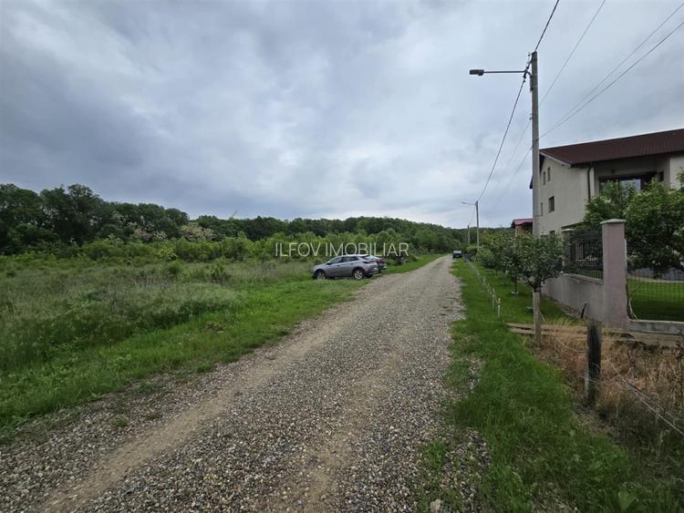 Teren intravilan Balotesti 9782mp 96ml deschidere langa padure - 4