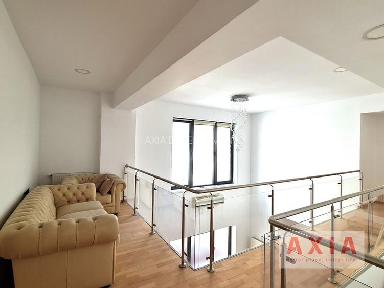 Spatiu de birou - parter - Banu Manta - Titulescu - 10