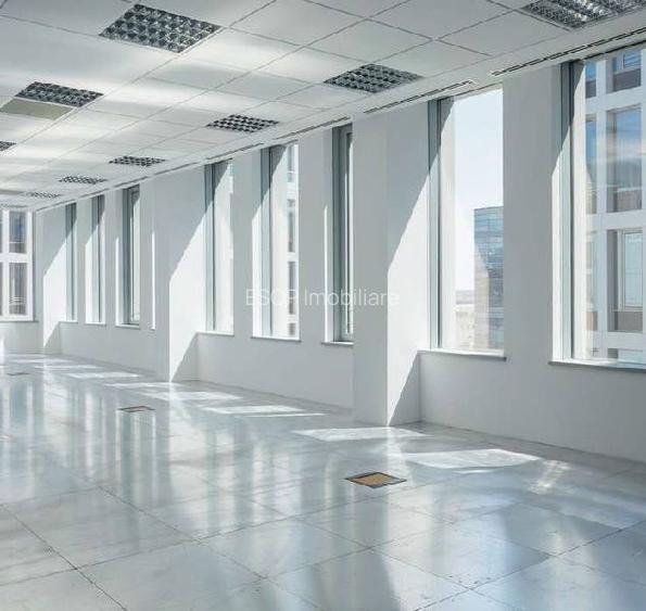 Swan Office Park cladirea Windsor, Nord, 521 - 14600 mp  0% comision! - 3