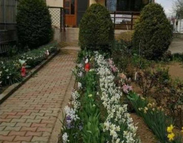 Vila D+P+1 zona km 4-5 - 16