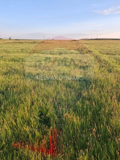 Teren intravilan, zona in plina dezvoltare industriala loc. Frumuseni - 5