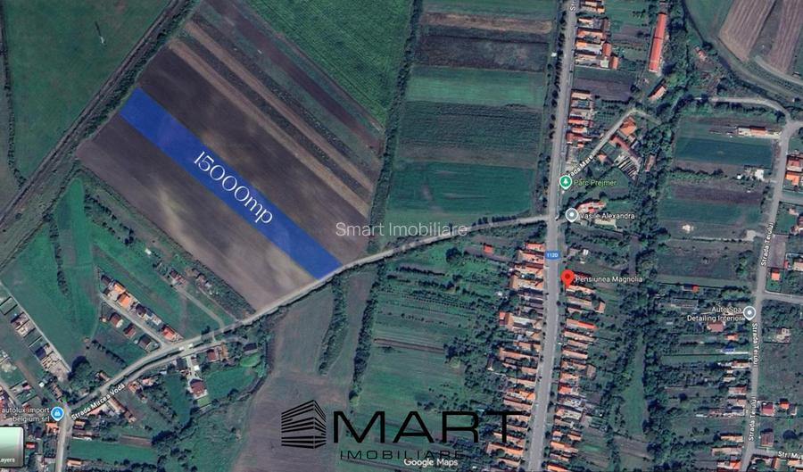 Teren Extravilan 15.000 mp Prejmer - 5