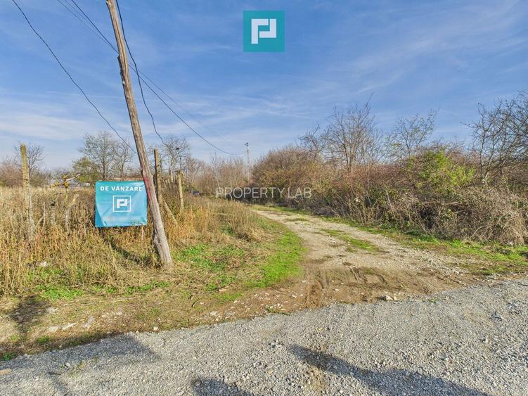 Casuță cu priveliște panoramică spre Cetatea Șiria - 28