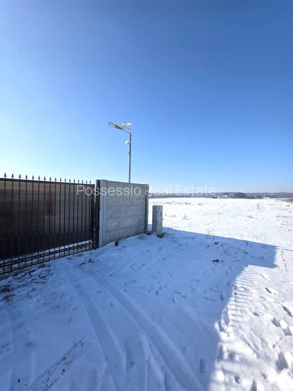 Teren intravilan 510 mp – Dragomirești Deal - Str. Teilor - Ideal pentru casă - 3